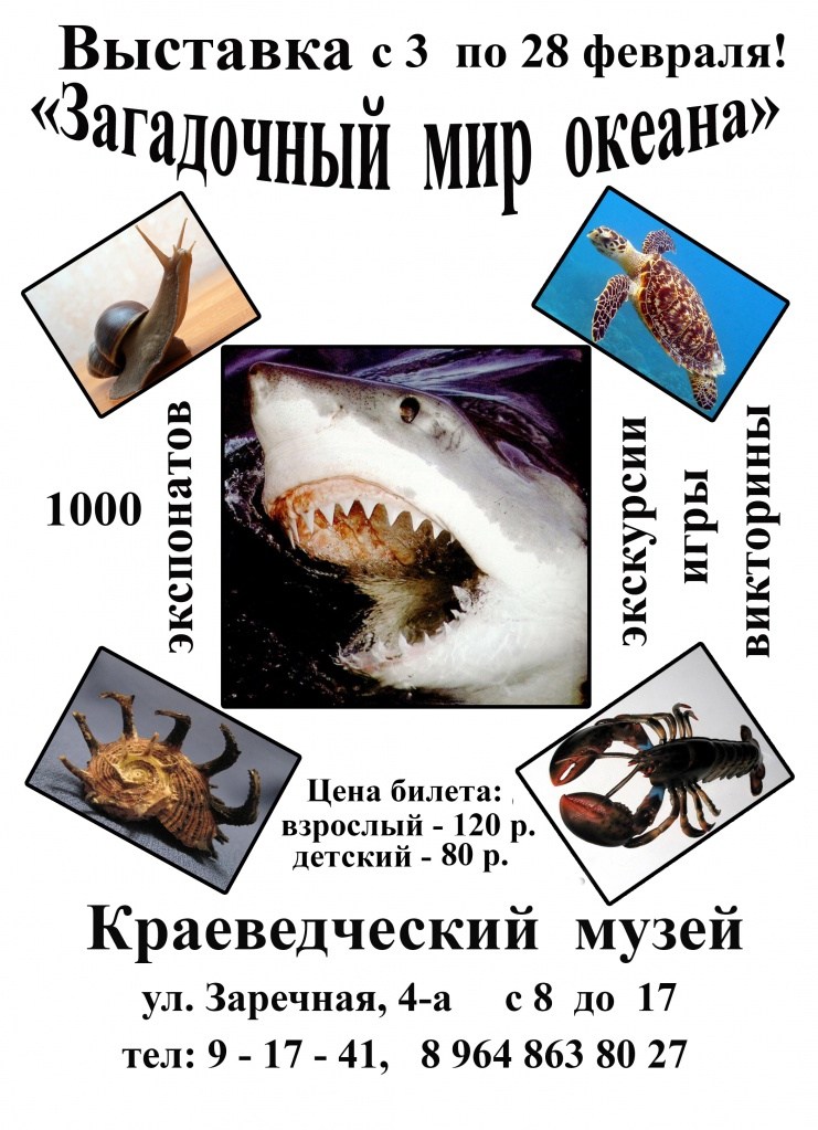 афиша - акула .jpg